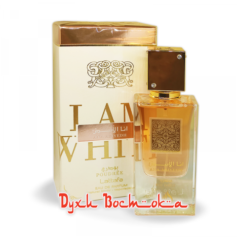 WP0065LAZ060